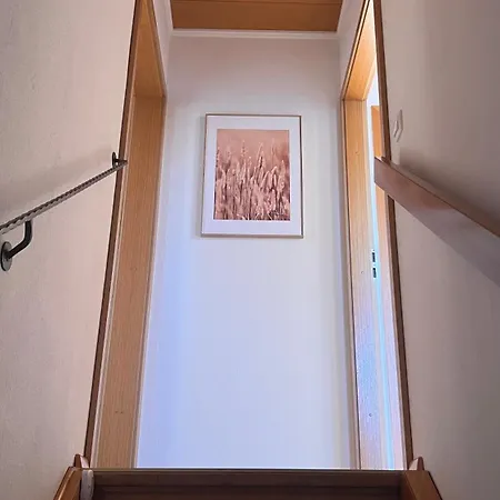 아파트 Schwarzwald Iii *