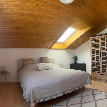 Schwarzwald Iii 렌즈키르흐