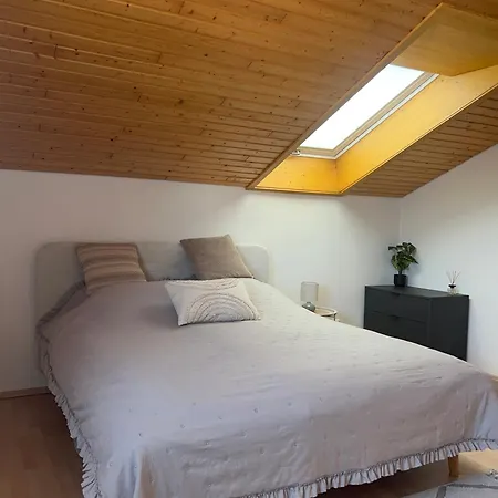Apartamento Schwarzwald Iii